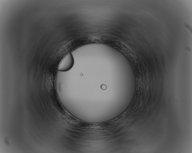 X0000093370702200710111327