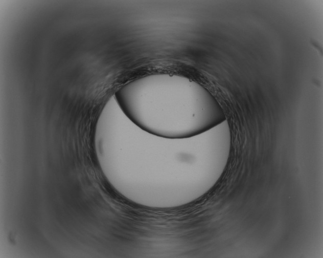 X0000093370703200710111327