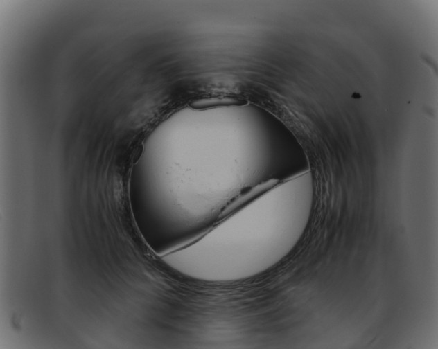 X0000093370704200710111327