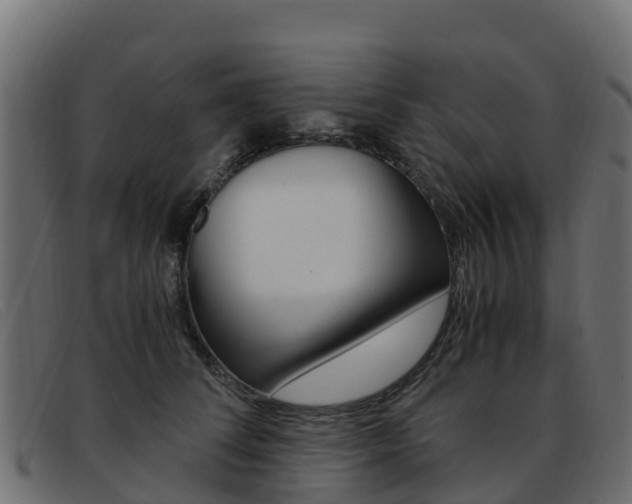 X0000093370708200710111327