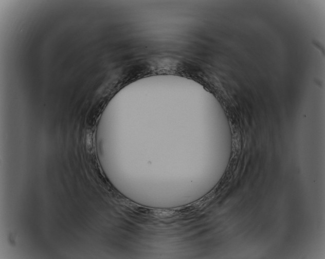 X0000093370709200710111327