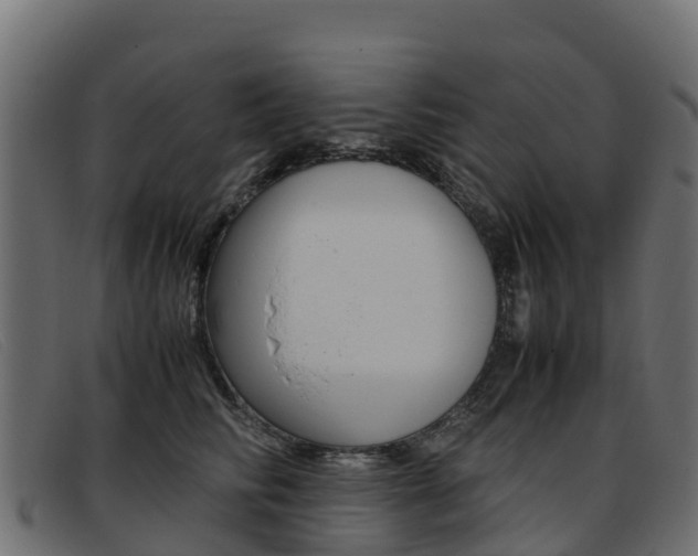 X0000093370710200710111327