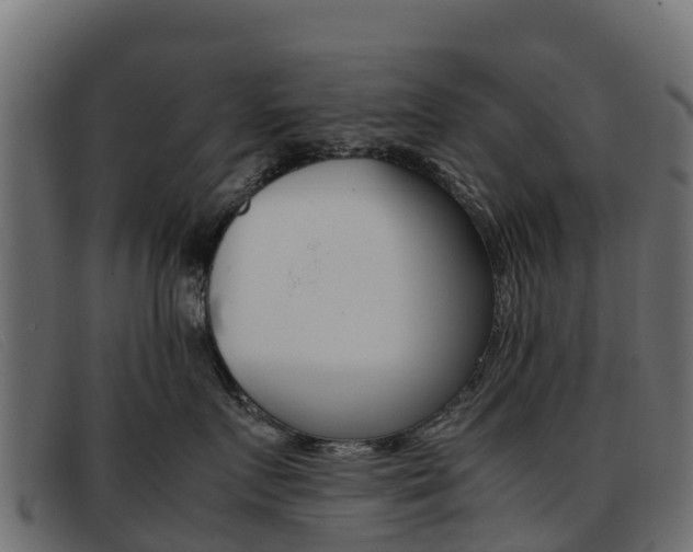 X0000093370719200710111326