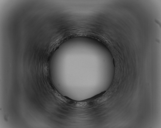X0000093370720200710111326