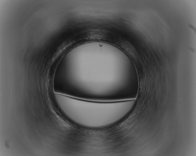 X0000093370722200710111326