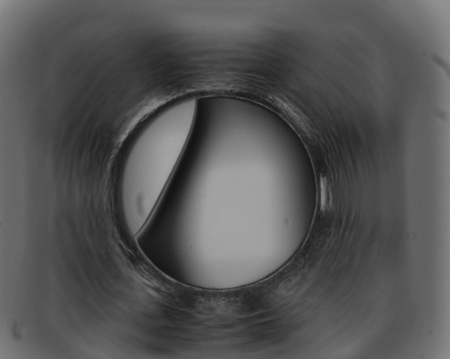 X0000093370723200710111326