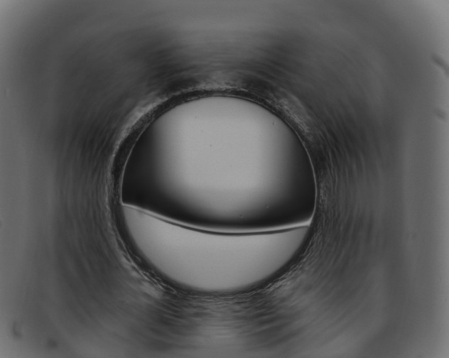 X0000093370724200710111326