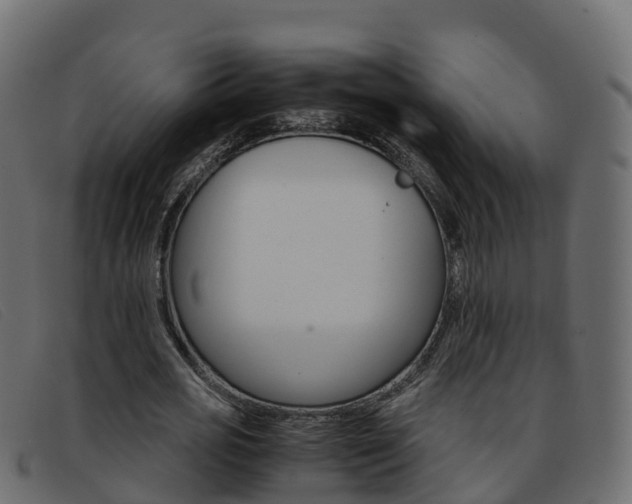 X0000093370725200710111326