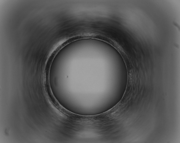 X0000093370726200710111326