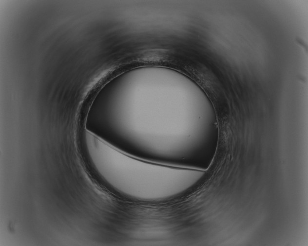 X0000093370728200710111326