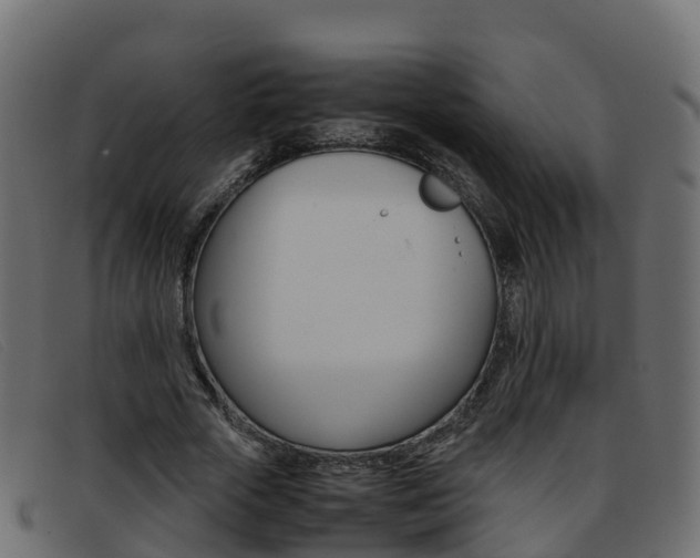 X0000093370729200710111326