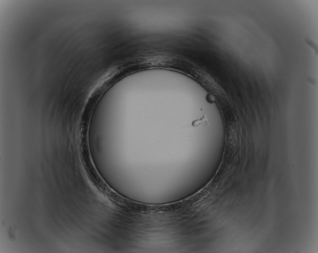 X0000093370730200710111326
