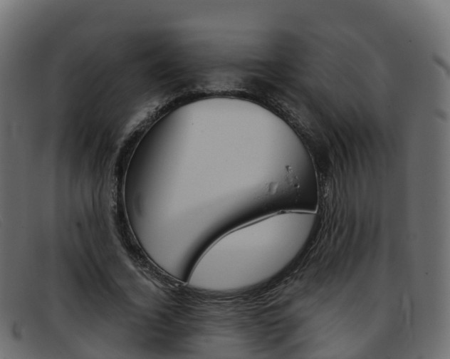 X0000093370732200710111326