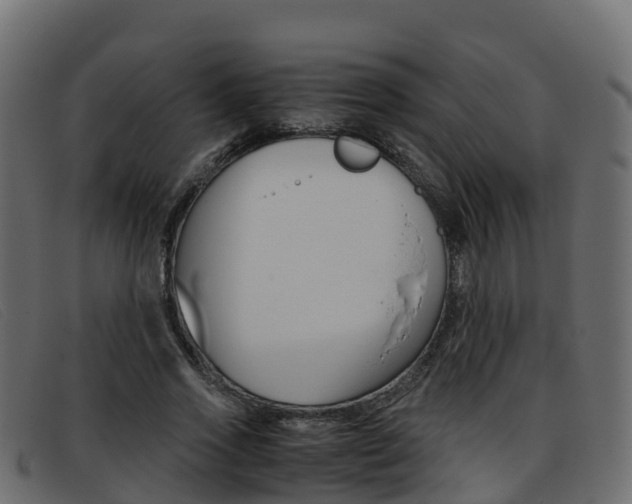 X0000093370733200710111326