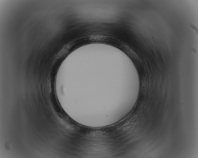 X0000093370734200710111326