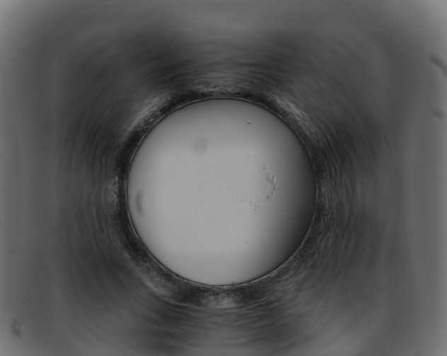 X0000093370735200710111326