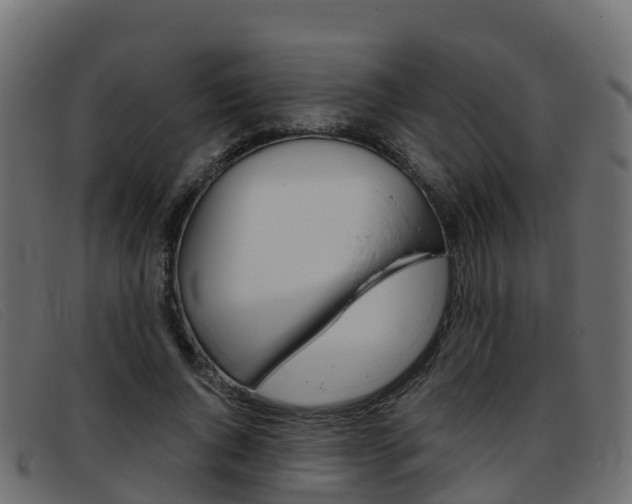 X0000093370736200710111326