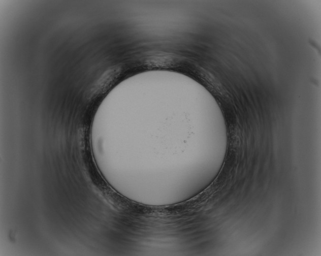 X0000093370738200710111326