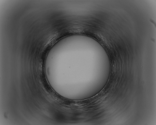X0000093370739200710111326
