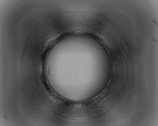 X0000093370740200710111326