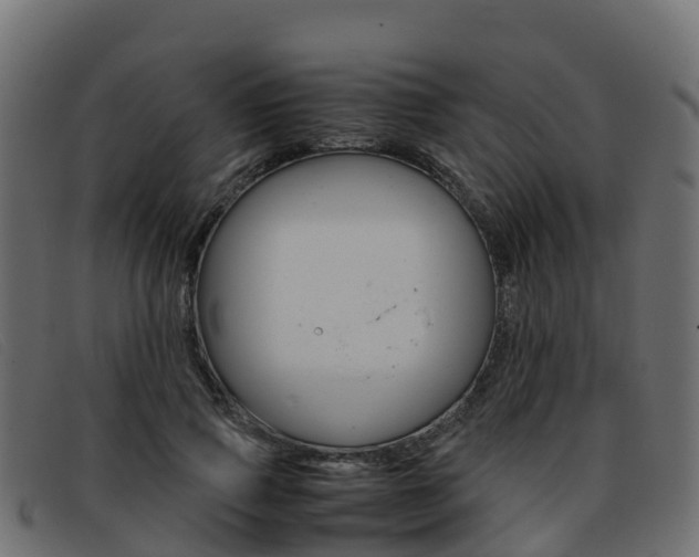 X0000093370741200710111326