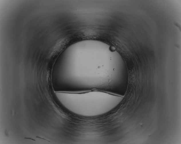 X0000093370742200710111326