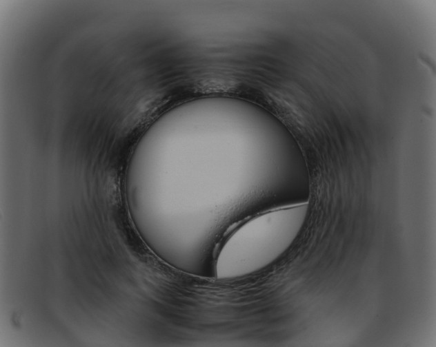 X0000093370743200710111326