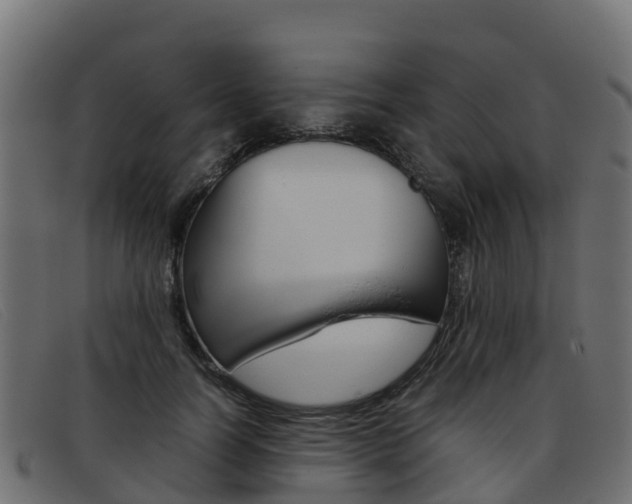 X0000093370746200710111326