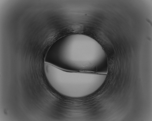 X0000093370748200710111326