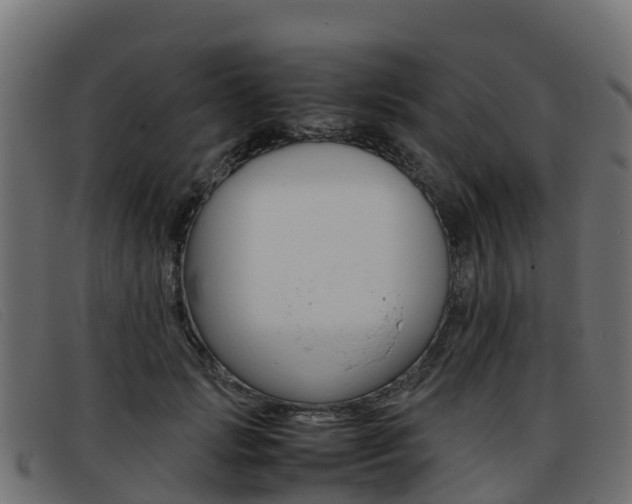 X0000093370749200710111326