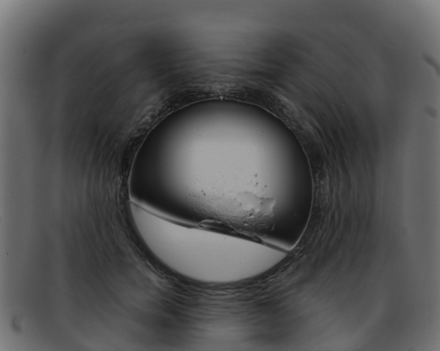 X0000093370750200710111326