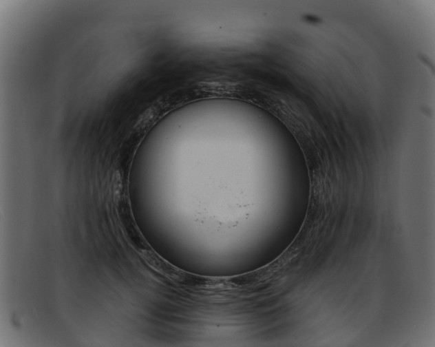 X0000093370752200710111326