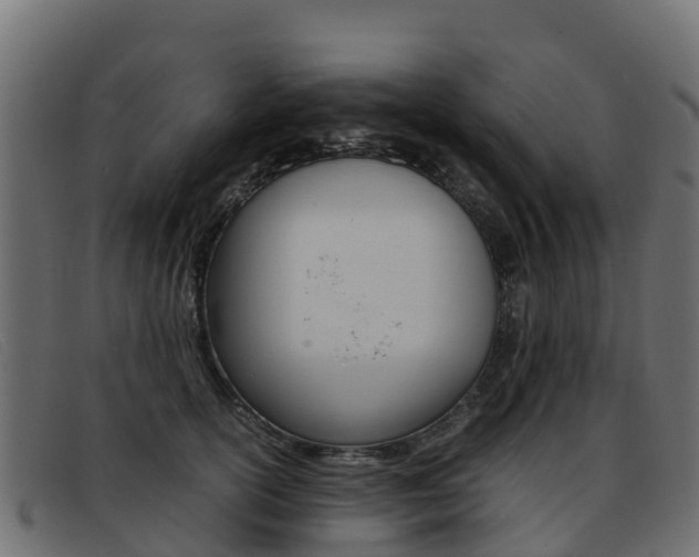 X0000093370754200710111326