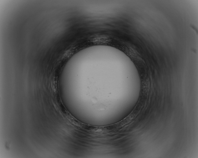 X0000093370755200710111326