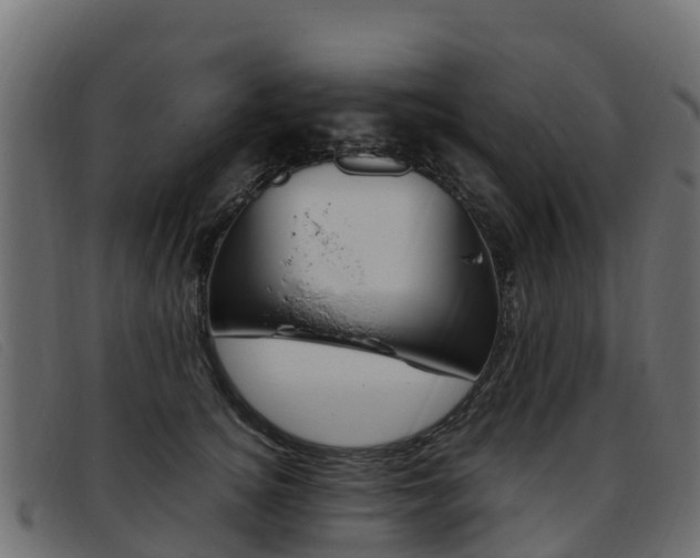 X0000093370756200710111326