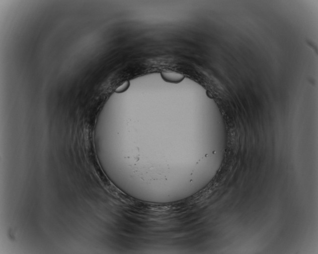 X0000093370757200710111326