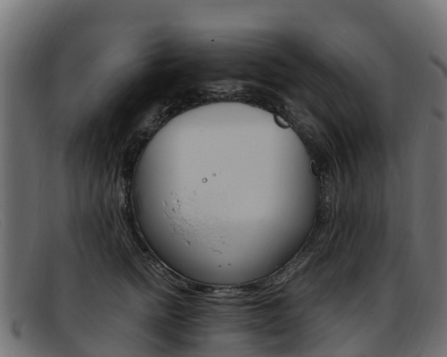 X0000093370758200710111326