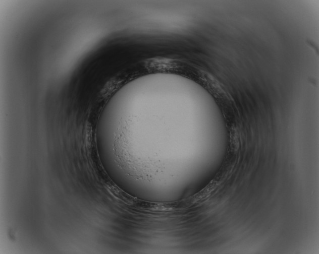 X0000093370760200710111326