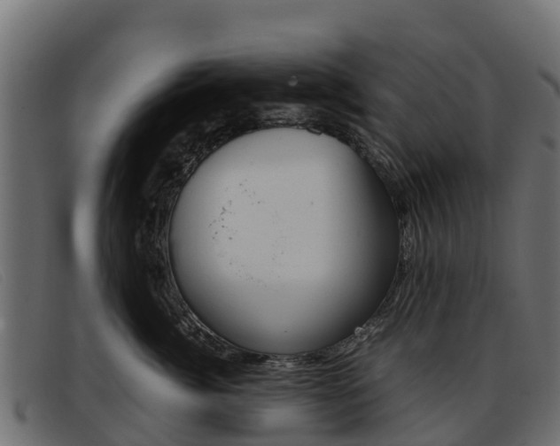 X0000093370764200710111326