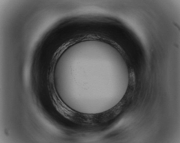 X0000093370765200710111326