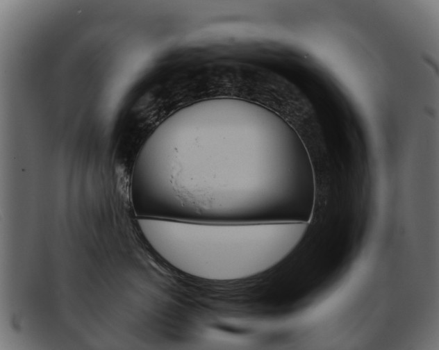 X0000093370766200710111326