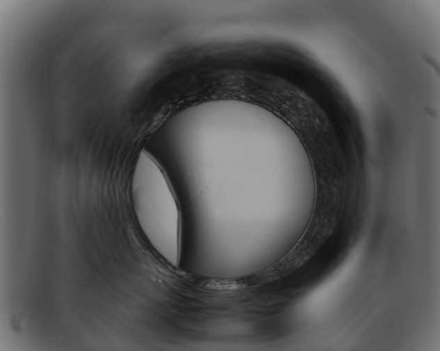 X0000093370767200710111326