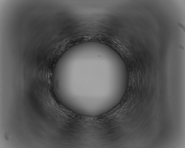 X0000093370770200710111326