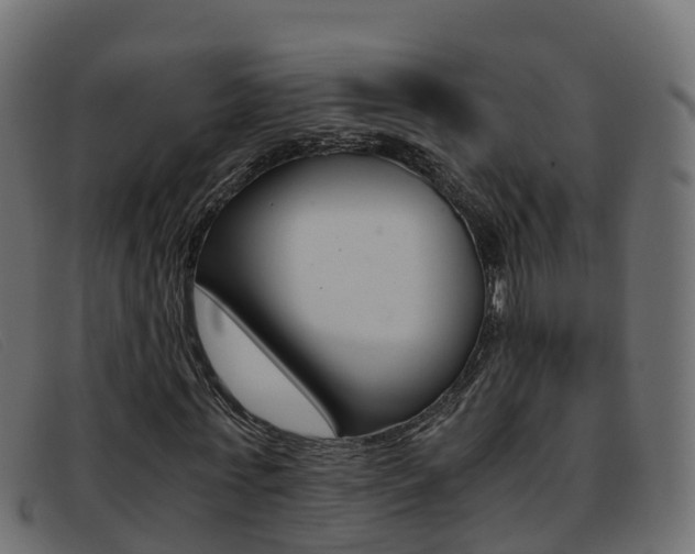 X0000093370771200710111326