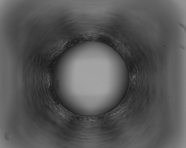 X0000093370772200710111326