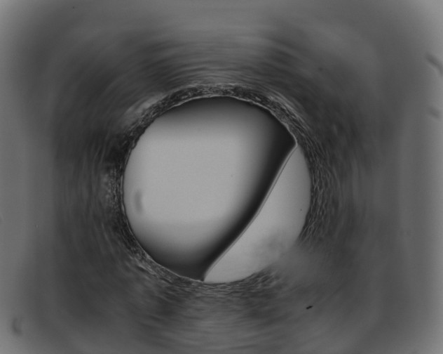 X0000093370773200710111326