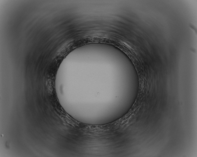 X0000093370774200710111326