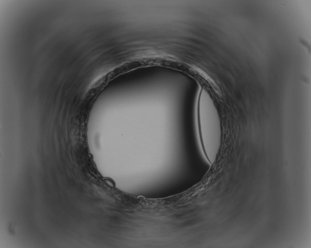 X0000093370775200710111326