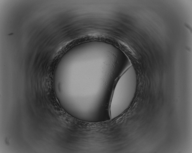 X0000093370776200710111326