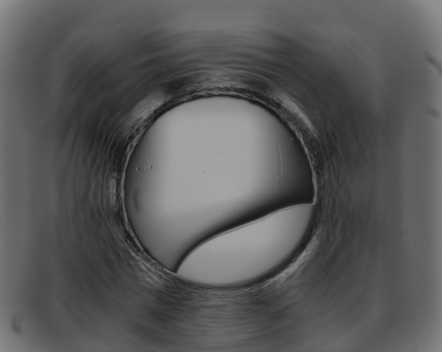 X0000093370777200710111326